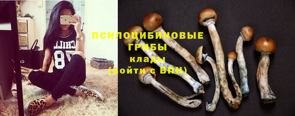 винт Армянск