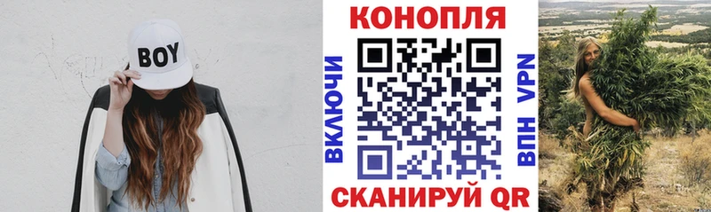 OMG вход Шахты Бошки марихуана Amnesia